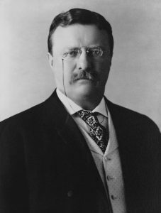 Theodore Roosevelt historia peluche